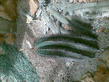 26092008_074_.jpg