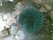 26092008_075_.jpg