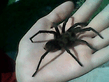 14092008_002_.jpg