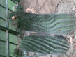 26092008_078_.jpg
