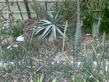 26092008_080_.jpg