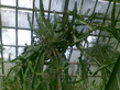 26092008_081_.jpg