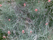 26092008_082_.jpg