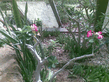 26092008_083_.jpg