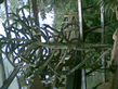 26092008_076_.jpg