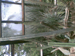 26092008_077_.jpg