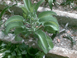 26092008_084_.jpg