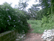 26092008_086_.jpg