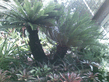 26092008_087_.jpg