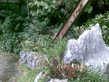 26092008_088_.jpg
