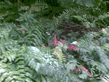 26092008_089_.jpg