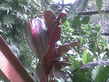 26092008_092_.jpg