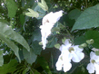 26092008_093_.jpg