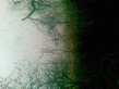 14112008.jpg