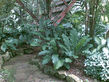 26092008_100_.jpg