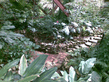 26092008_101_.jpg