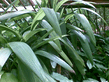 26092008_102_.jpg