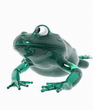 Bestgfrog_.jpg