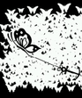 Butterfly_Resque_.jpg