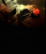 Red_Rose.jpg