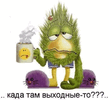 16034647.jpg
