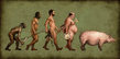 Evolutia.jpg