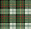 12491097_tartan2.jpg