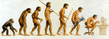 Evolut_1.jpg