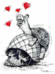 turtle.jpg