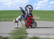 Moto.gif