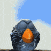 Cr_zy_.gif