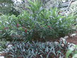 26092008_108_.jpg