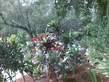 26092008_109_.jpg