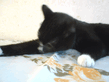 DSC00043.jpg