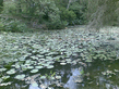 26092008_110_.jpg