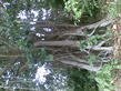 26092008_111_.jpg