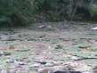 26092008_113_.jpg
