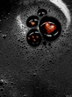 240x320_3d_137.jpg