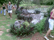 26092008_114_.jpg