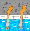 swim.jpg