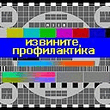 221.jpg