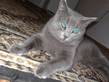 02122008329.jpg