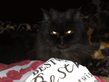20122008611.jpg