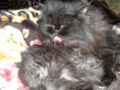 20122008652.jpg