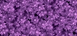 29654068_25156250_27nen.jpg