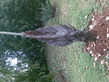 26092008_117_.jpg
