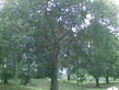 26092008_118_.jpg