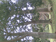 26092008_121_.jpg
