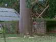 26092008_124_.jpg