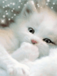 Ks.gif